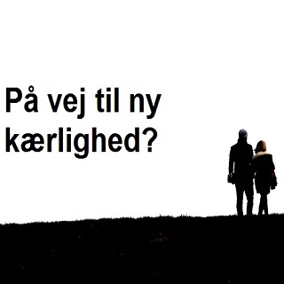 Ny partner